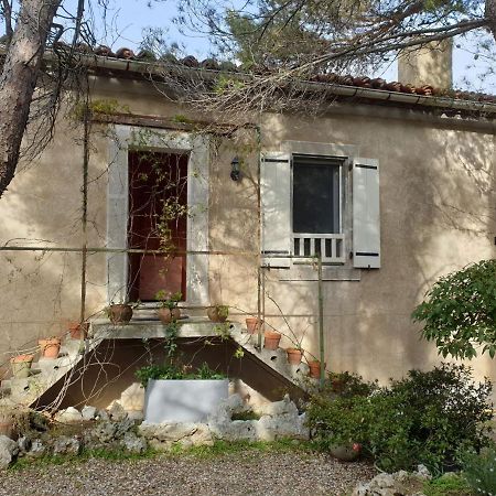 La Pinede Διαμέρισμα Azillanet Εξωτερικό φωτογραφία